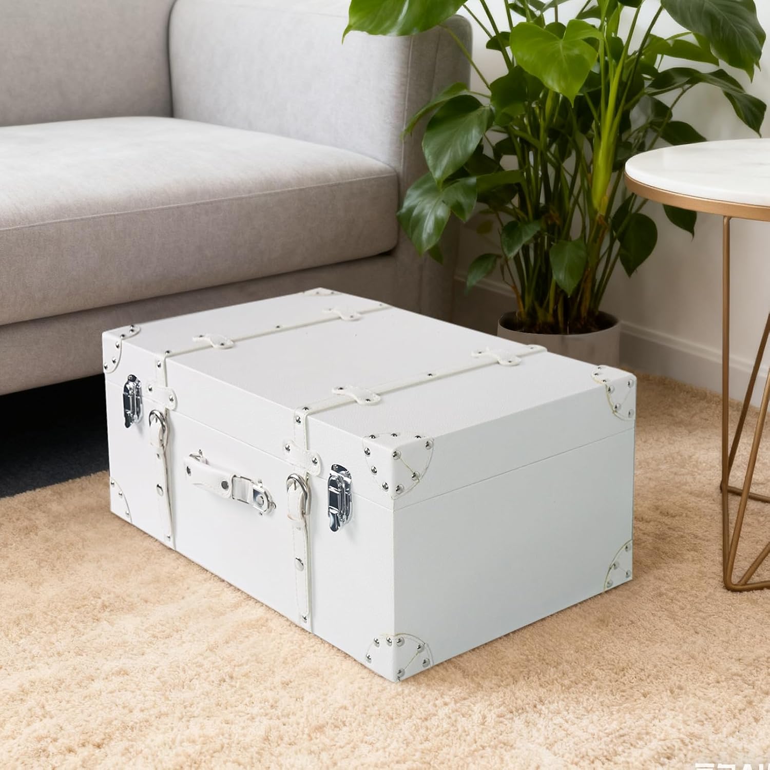White Decor Wood Storage Trunk Case