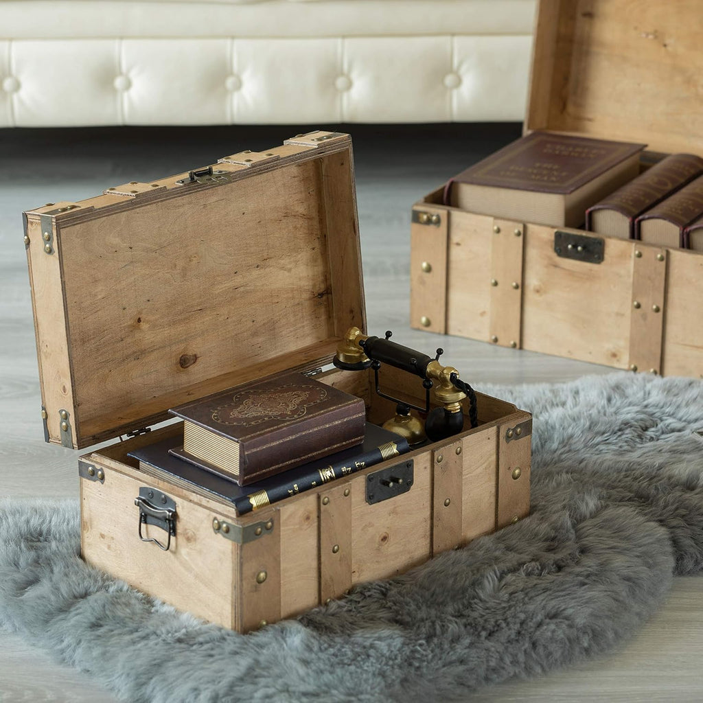 Natural Large Wood Storage Trunk